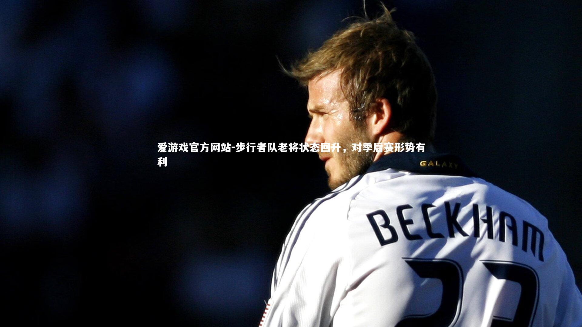 爱游戏官方网站-步行者队老将状态回升，对季后赛形势有利