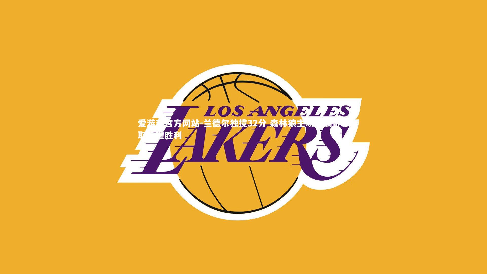 爱游戏官方网站-兰德尔独揽32分 森林狼主场力擒奇才取关键胜利